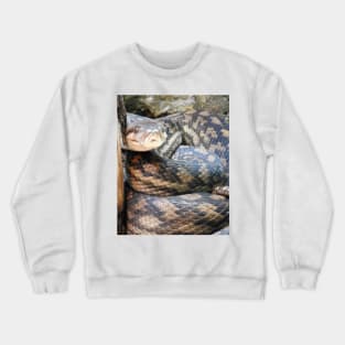 Amethystine Python Crewneck Sweatshirt
